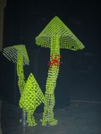 DSC00584