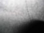 100 0019