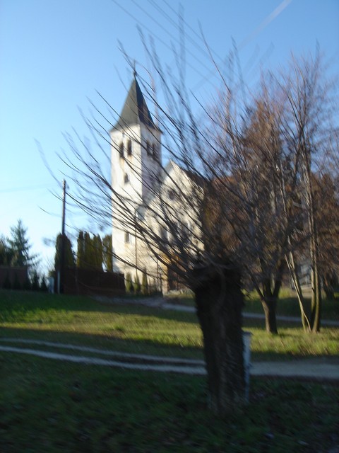 DSC01558
