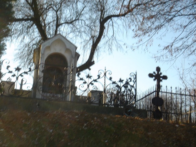 DSC01560