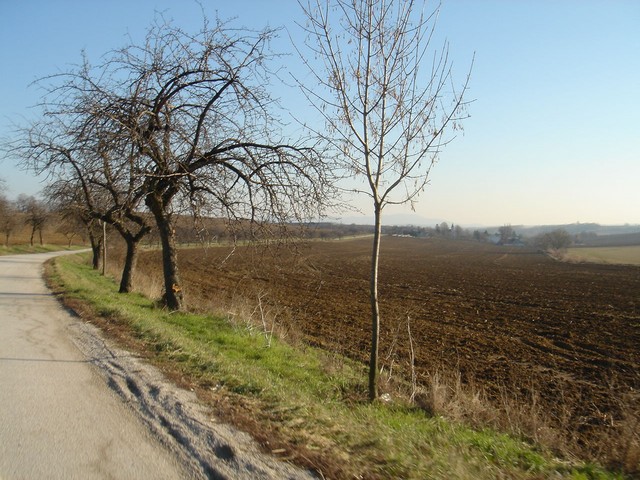 DSC01563