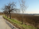 DSC01563