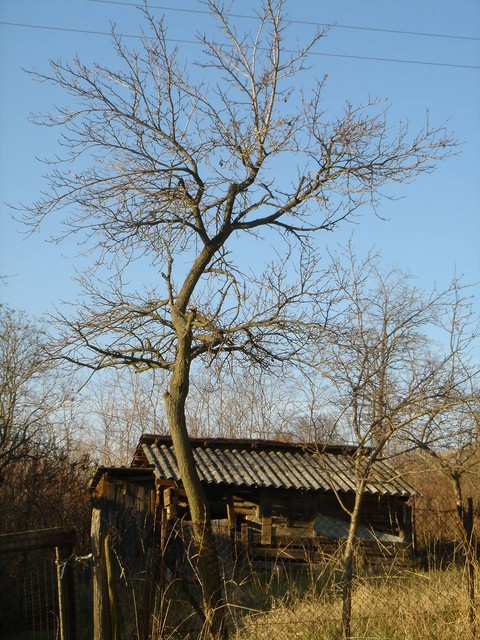 DSC01597