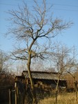 DSC01597