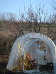 DSC01598