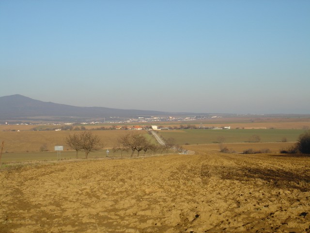 DSC01637